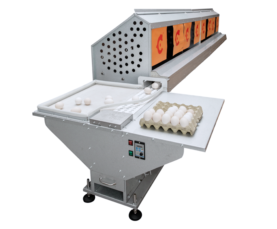 Automatic-egg-collection-equipment